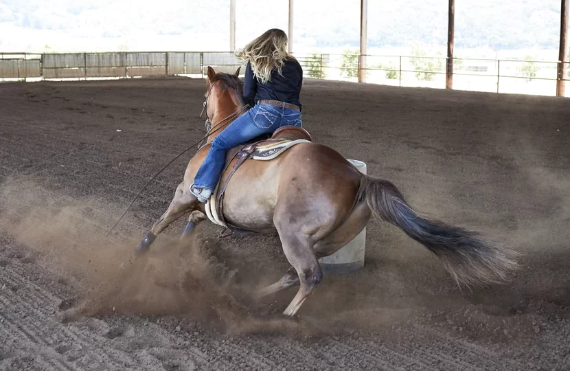 riding jeans
